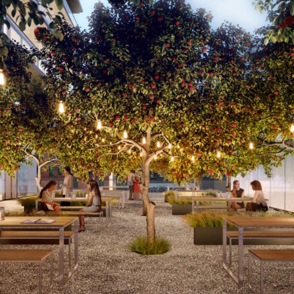 Meet your Posher, Freya